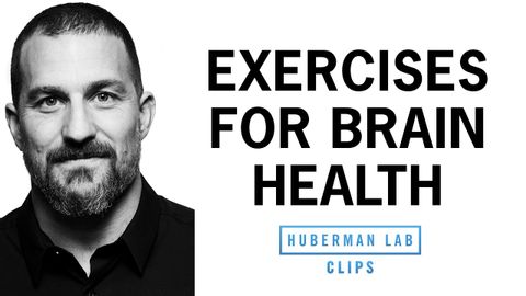 Best Exercises for Brain Health, Performance & Motivation | Dr. Andrew Huberman