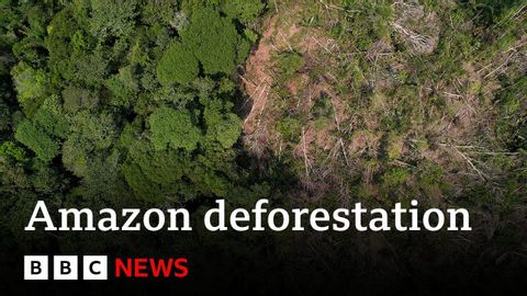 【BBC News】五分之一的亞馬遜雨林因森林砍伐而消失，相當於德國加上法國的國土面積 (One fifth of the Amazon rainforest lost to deforestation | BBC News)