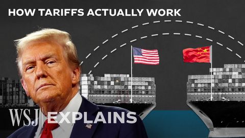 為什麼經濟學家討厭特朗普的關稅計劃 | WSJ (Why Economists Hate Trump's Tariff Plan | WSJ)