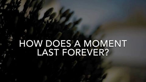 片刻如何永恆 - 席琳-迪翁 歌詞 (How Does A Moment Last Forever - Celine Dion Lyrics)