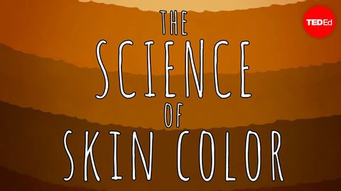 【TED-Ed】The science of skin color - Angela Koine Flynn