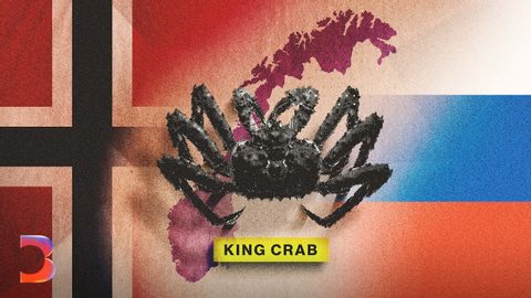 俄羅斯戰爭如何讓帝王蟹成為挪威的大生意 (How Russia's War Made King Crab Big Business in Norway)