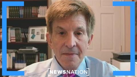 Allan Lichtman：小肯尼迪的支持將損害特朗普的競選 | 美國晨報 (Allan Lichtman: RFK Jr. endorsement will harm Trump’s campaign | Morning in America)