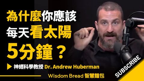 為什麼你應該每天看太陽5分鐘？ (為什麼你應該每天看太陽5分鐘？► 神經科學教授 Dr Andrew Huberman 安德魯．休伯曼博士（中英字幕）)