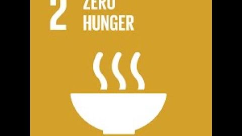 持続可能な開発目標（SDG）2：飢餓ゼロ (Sustainable Development Goal (SDG) 2: Zero Hunger)