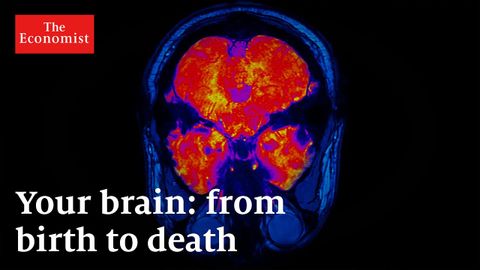 年をとると脳はどうなるか (What happens to your brain as you age)