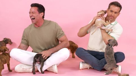 ライアン・レイノルズとヒュー・ジャックマン：子犬インタビュー (Ryan Reynolds and Hugh Jackman: The Puppy Interview)