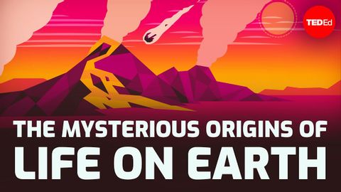 The mysterious origins of life on Earth - Luka Seamus Wright