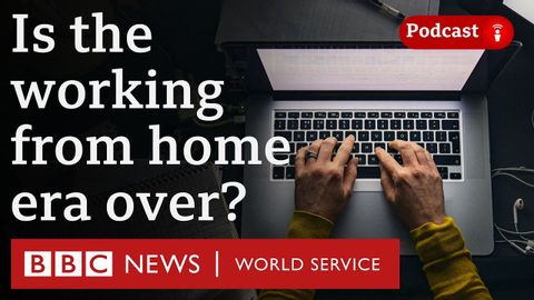 What is the future of working from home? - The Global Story podcast, BBC World Service