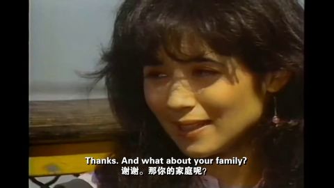 家族のアルバム USA E01 中国語-英語字幕 走遍美国集 第1集 中英字幕 (Family Album USA E01 Chinese-English subtitles  走遍美国 第1集 中英字幕)