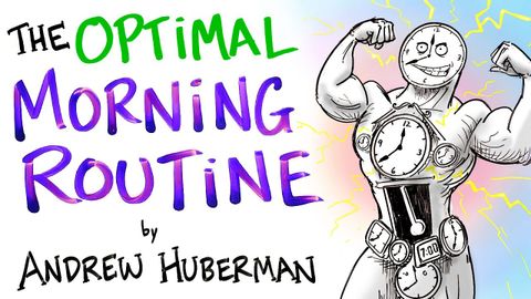 最佳晨間例行活動 - 安德魯-休伯曼 (The Optimal Morning Routine - Andrew Huberman)