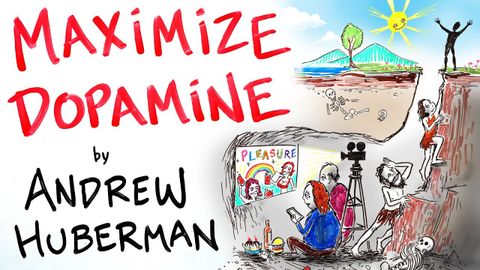 ドーパミンとやる気を最大限に引き出す方法 - アンドリュー・ヒューバーマン (How to Maximize Dopamine & Motivation - Andrew Huberman)