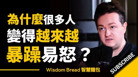 為什麼很多人變得越來越暴躁易怒？ ► 約翰·哈里 Johann Hari 《金融時報》评为年度好书（中英字幕）