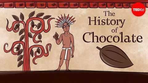 【TED-Ed】巧克力的歷史 (The history of chocolate - Deanna Pucciarelli)