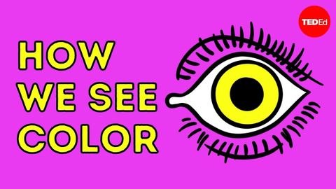 【TED-Ed】How we see color - Colm Kelleher !