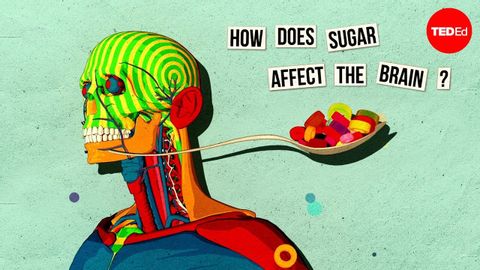 【TED-Ed】How sugar affects the brain - Nicole Avena