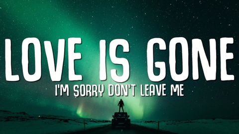 SLANDER - Love is Gone (Lyrics) ft. Dylan Matthew (Acoustic) "I'm sorry don't leave me"