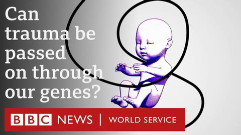 エピジェネティクス遺伝子は変えられるのか？- BBCワールドサービス (Epigenetics: Can we change our genes? - BBC World Service)