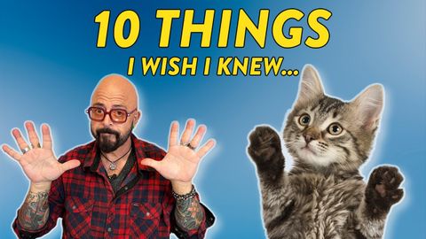 我希望在領養貓咪之前知道的 10 件事 (10 Things I Wish I Knew Before Adopting A Cat)