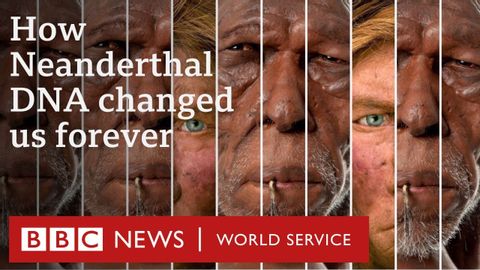 ネアンデルタール人とのセックスが私たちを永遠に変えた - BBCワールドサービス (How sex with Neanderthals changed us forever - BBC World Service)