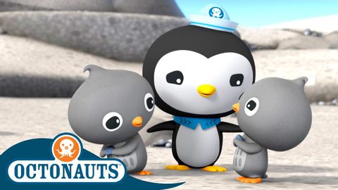 Octonauts - Adelie Penguins & the Sea Snakes | 兒童卡通 | 深海教育 (Octonauts - Adelie Penguins & the Sea Snakes | Cartoons for Kids | Underwater Sea Education)