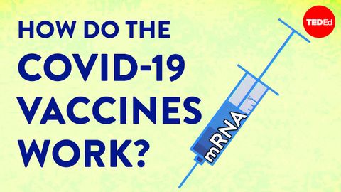 新冠肺炎疫苗迅速研發出來的最大功成——mRNA疫苗！（How the COVID-19 vaccines were created so quickly - Kaitlyn Sadtler and Elizabeth Wayne）