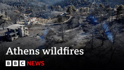 消防部門稱希臘野火已得到控制 | BBC News (Greece wildfires brought under control, says fire service | BBC News)