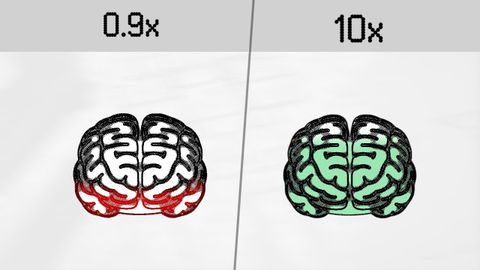 讓我來解釋一下閱讀是如何改變你的大腦的。 (Let me explain how reading changes your brain.)