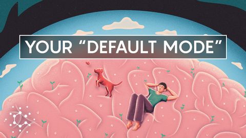 當您 "無所事事 "時，大腦到底在做什麼 : 默認模式網絡 (What Your Brain Is Really Doing When Doing 'Nothing' : The Default Mode Network)