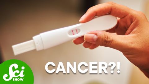 妊娠には発がん性があるのか？ (Is Pregnancy Carcinogenic?)