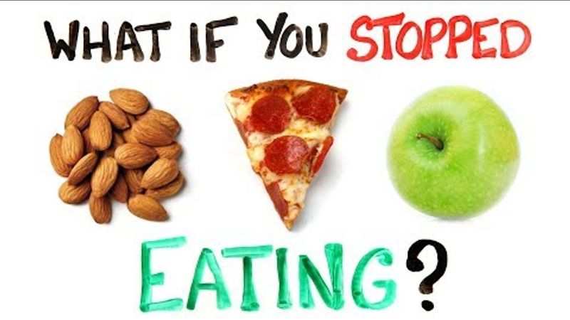 如果你停止進食，身體會發生什麼變化？ (What If You Stopped Eating Food?)